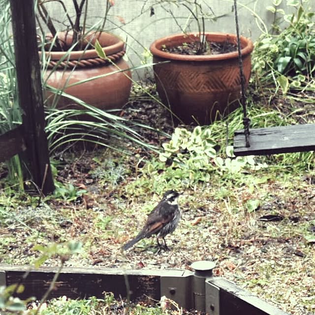 ruru357さんの実例写真