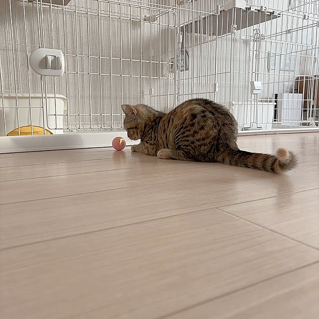 miyu39さんの部屋