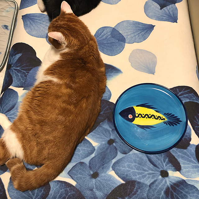 mikenekoさんの実例写真