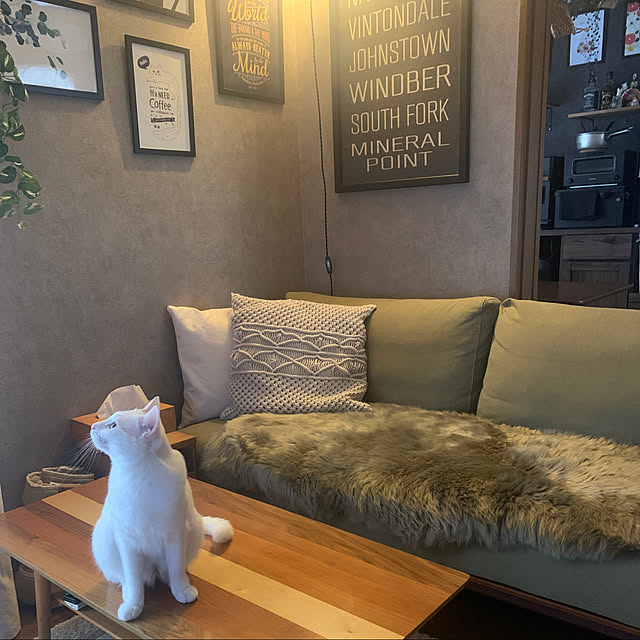 keiさんの実例写真