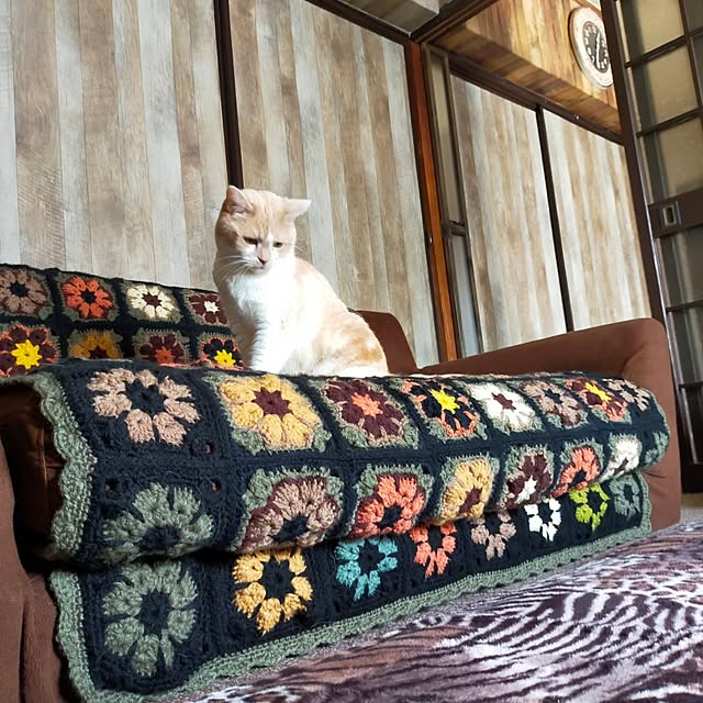kobakissaさんの部屋
