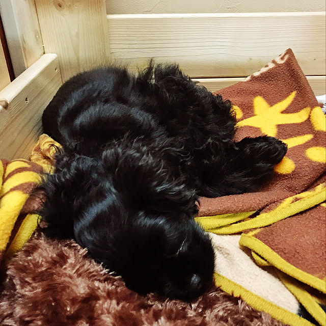 otoさんの実例写真