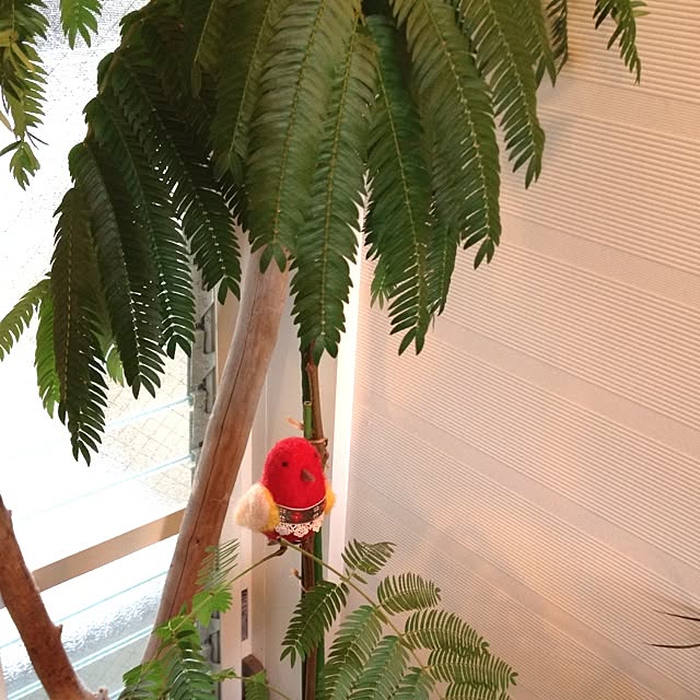 botanさんの実例写真