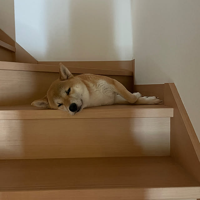 Yuuさんの実例写真