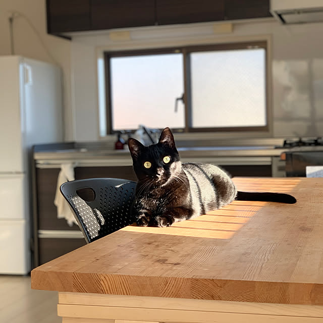 simplegooseさんの実例写真
