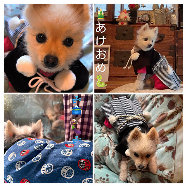 akaidarumaさんの実例写真