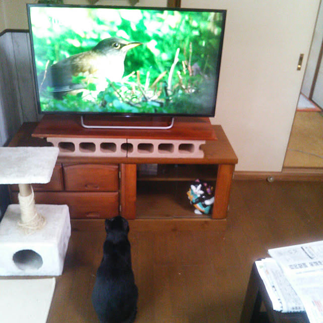 Tomopさんの実例写真