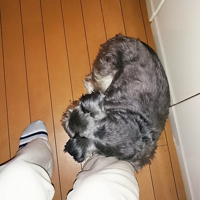aomonさんの実例写真