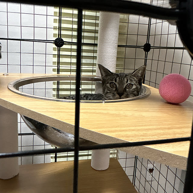 yunyumさんの部屋