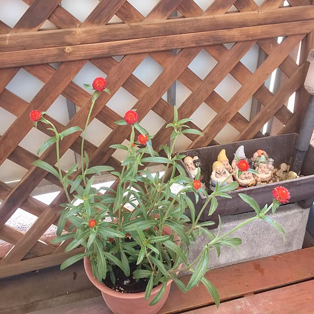 kojiro120513さんの実例写真