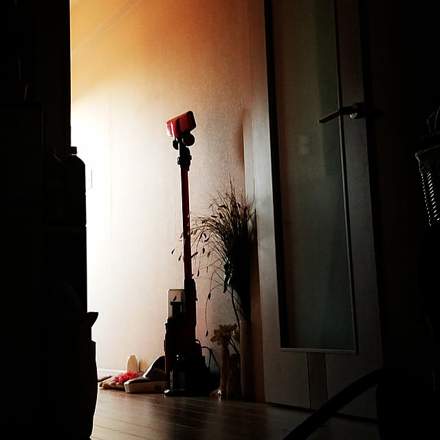 oMoさんの実例写真
