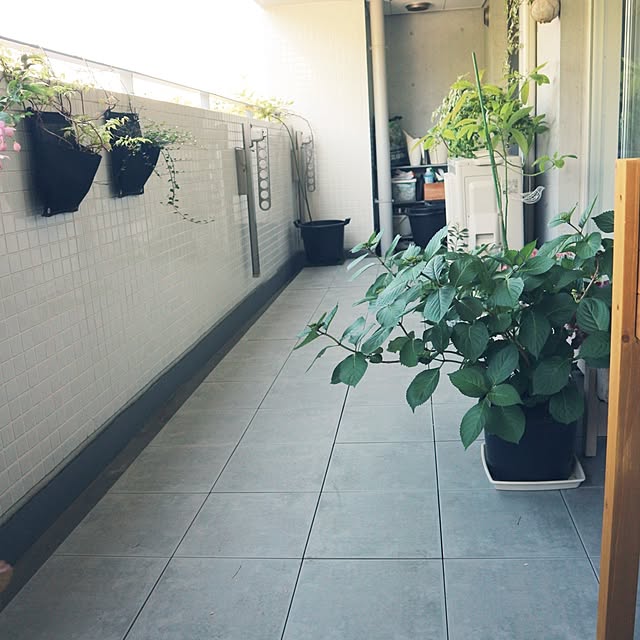 hanacocoさんの部屋