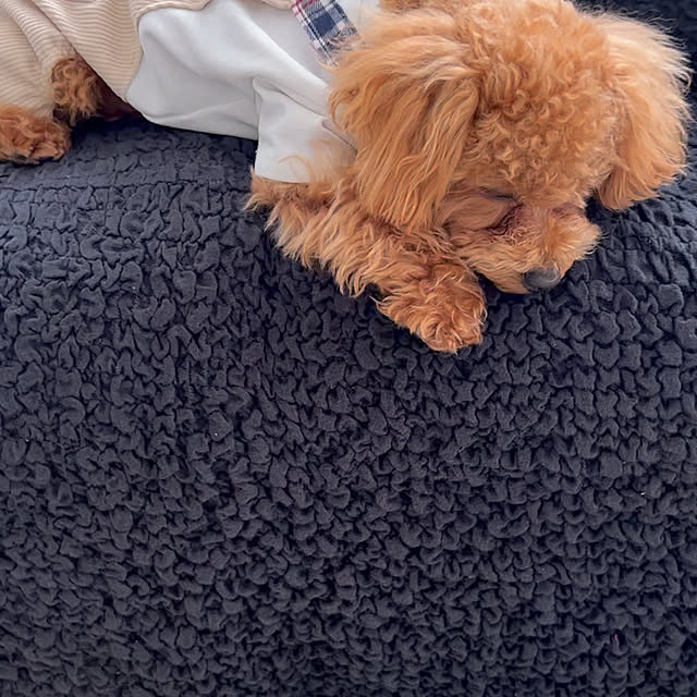 makiさんの実例写真