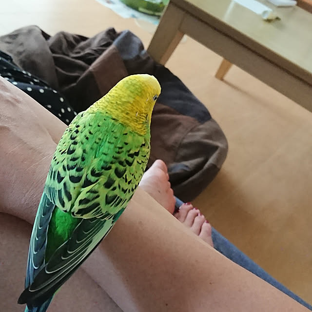 rienbo0510さんの実例写真