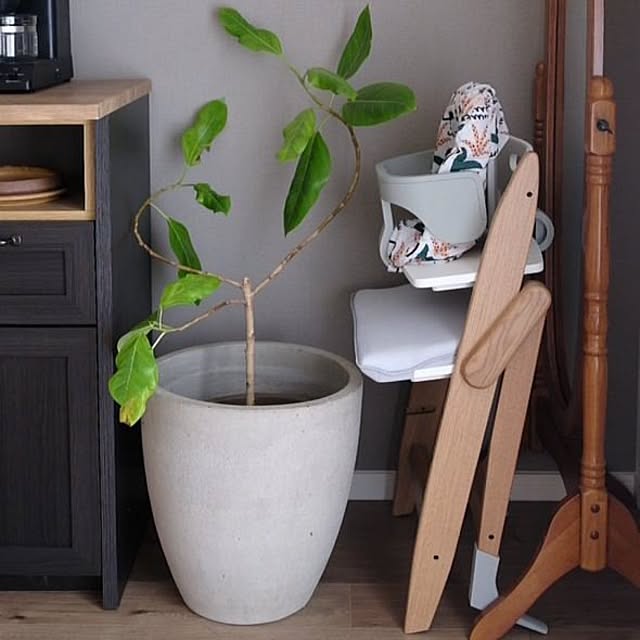 moji_YIPPYさんの実例写真