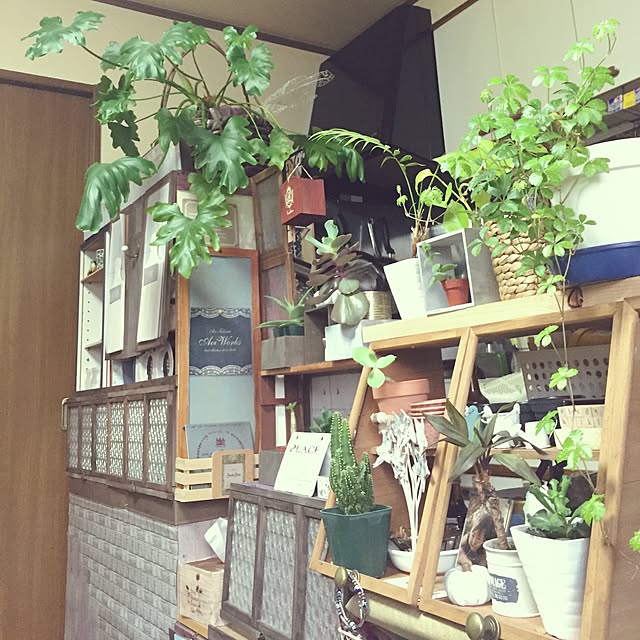 Norikoさんの実例写真