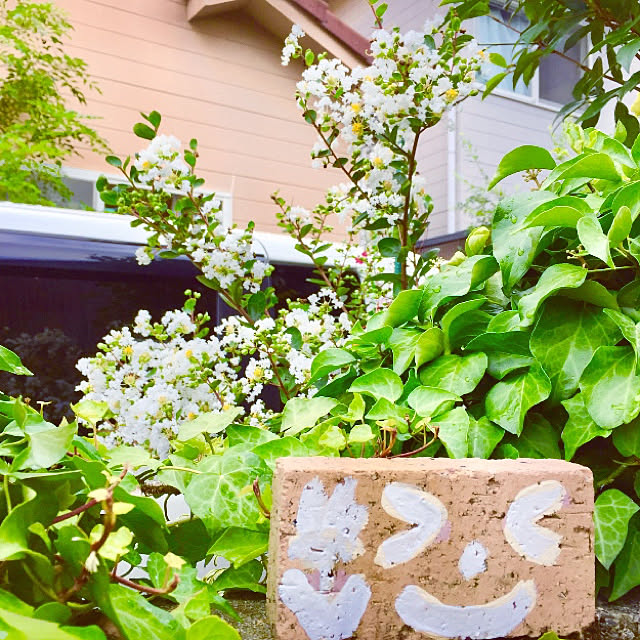 takakoさんの実例写真