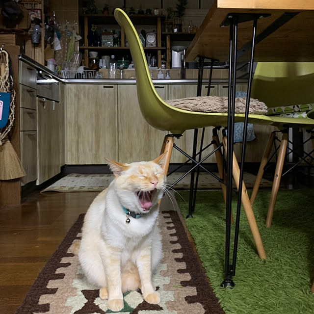 mohhaさんの実例写真