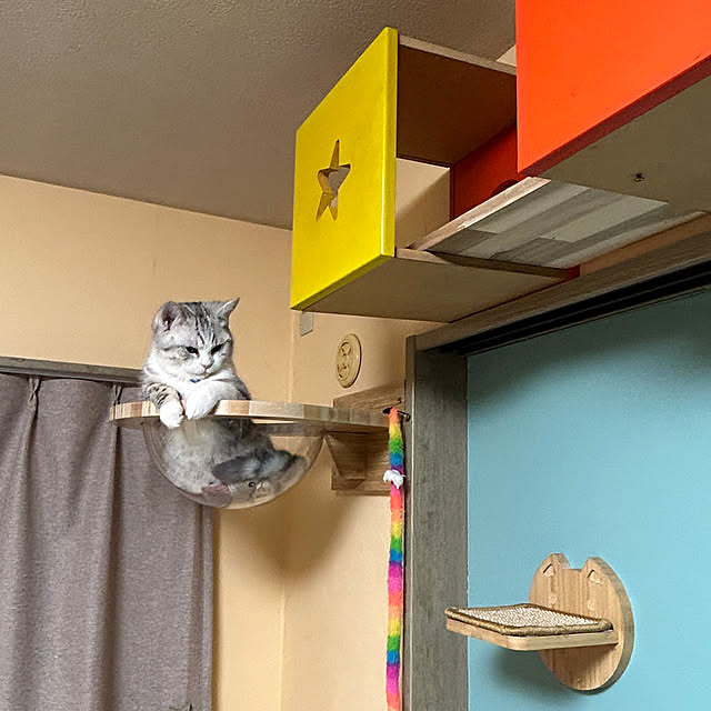 urutotoさんの部屋