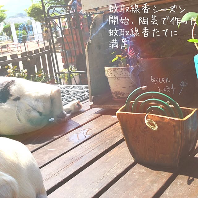 38coreさんの実例写真