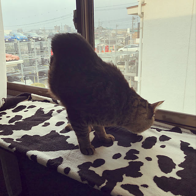 30_homeさんの実例写真