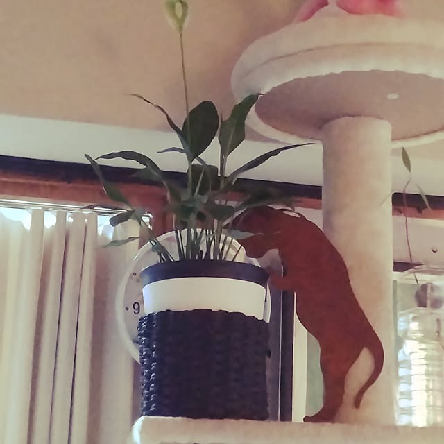 runaさんの部屋