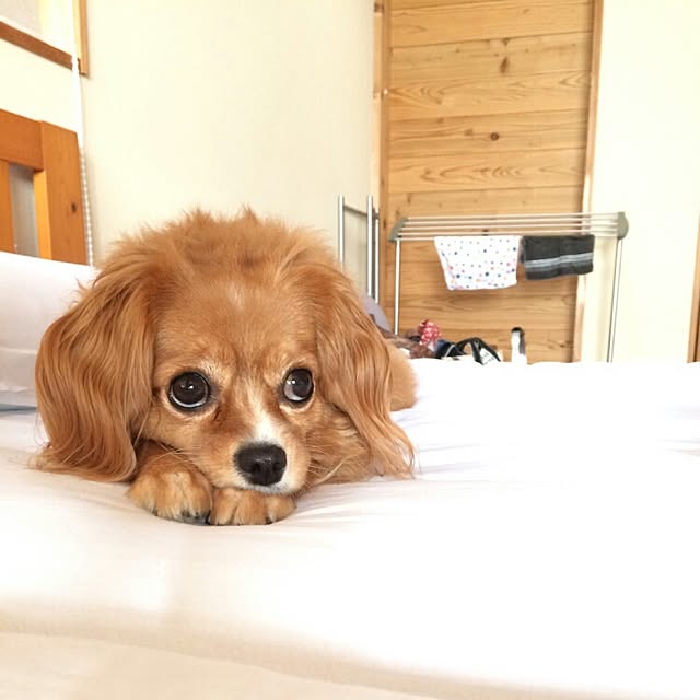 NATTUさんの実例写真