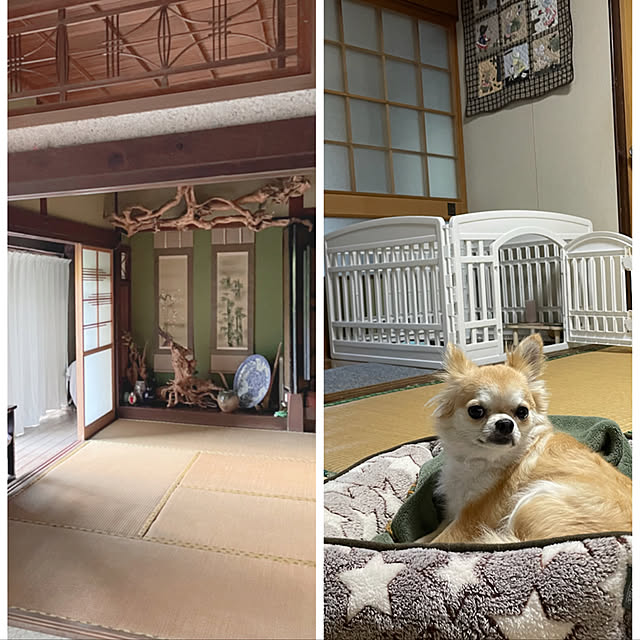 natsumiさんの実例写真