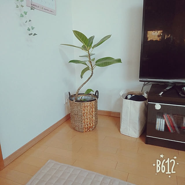 y321さんの実例写真