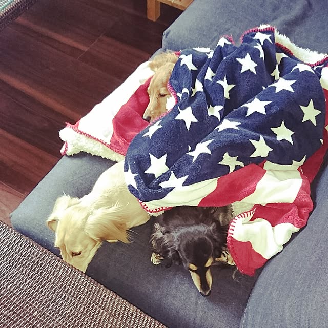 cocosorasakuさんの実例写真