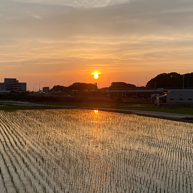 実例写真