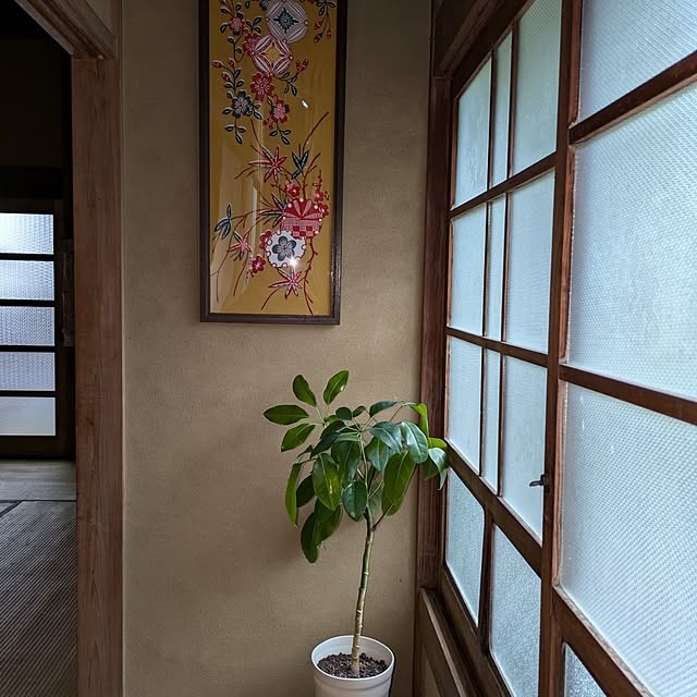 kuririnmamaさんの部屋