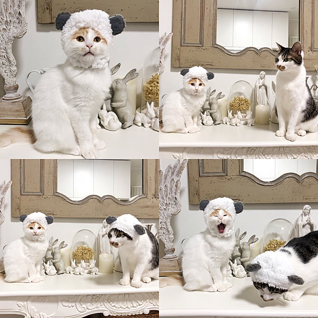 yuchiさんの実例写真