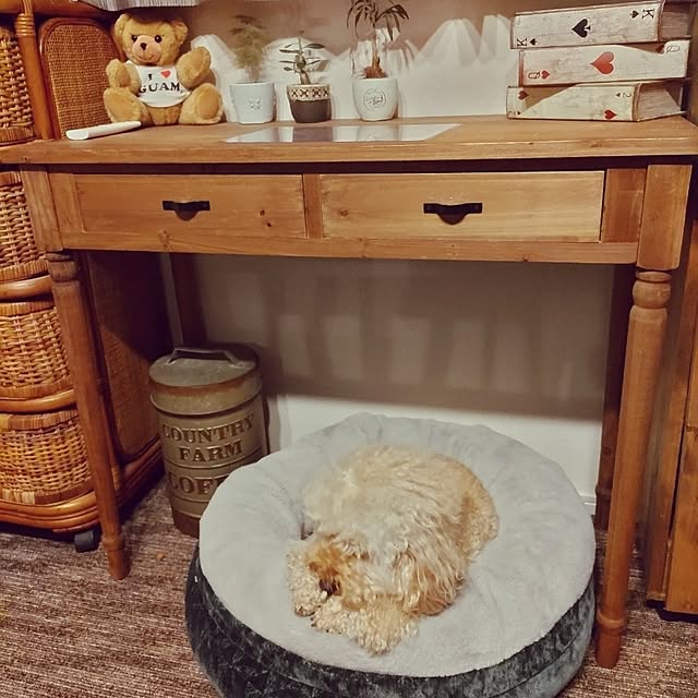 pu-ooさんの実例写真