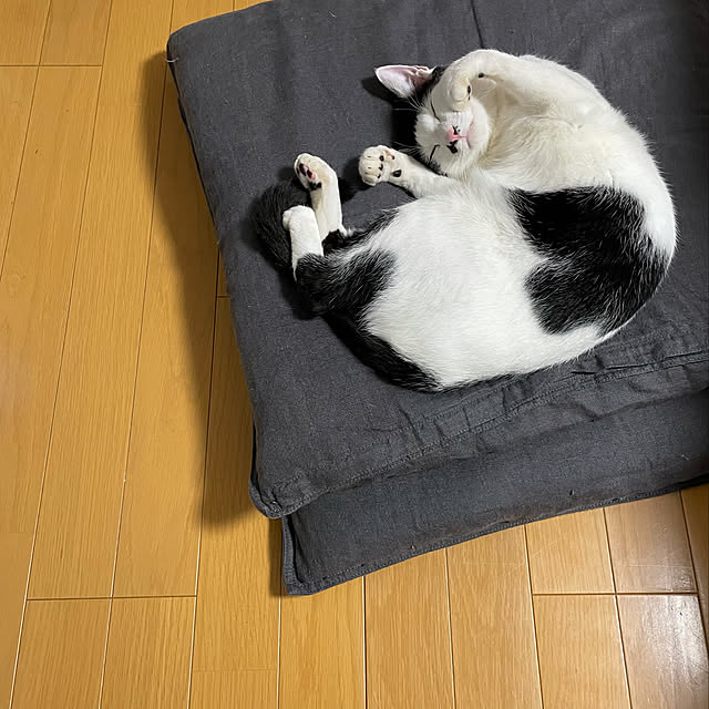 nobikoさんの実例写真