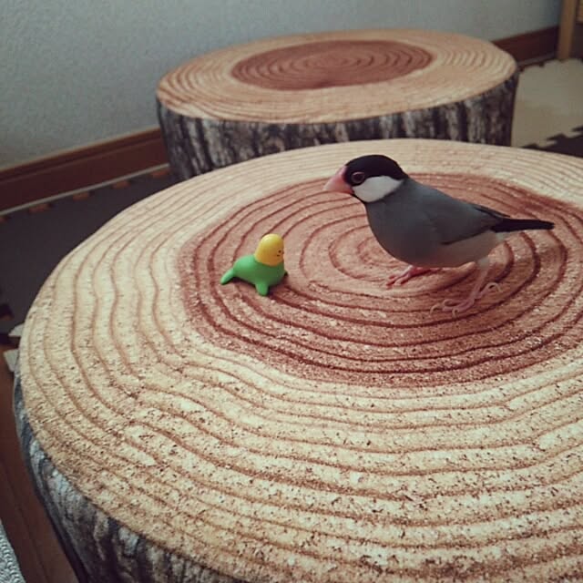 miiさんの実例写真