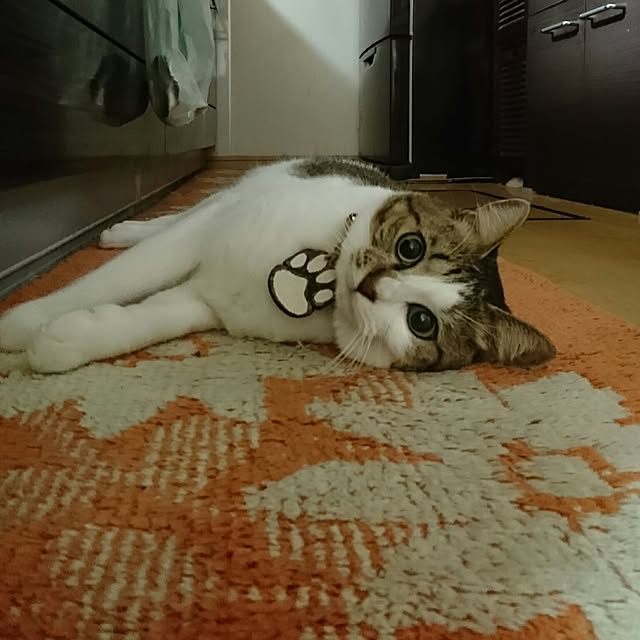 N-Factoryさんの実例写真