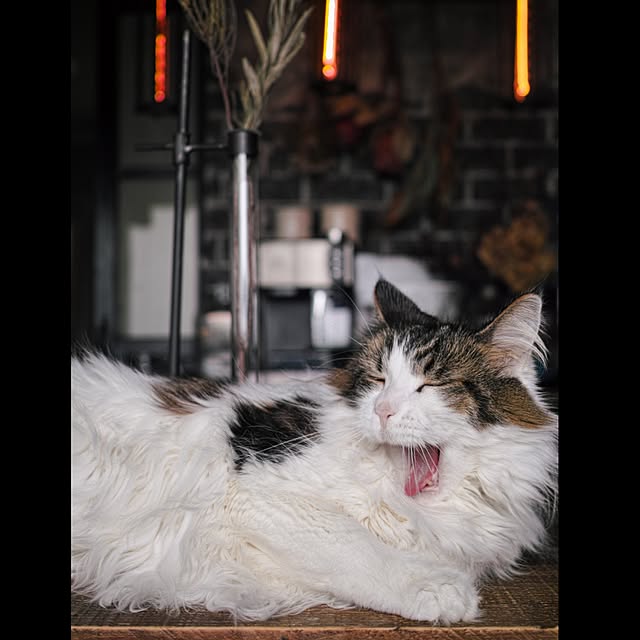 Yamagenさんの実例写真