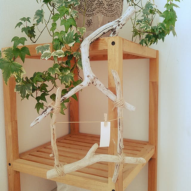 tetochiwawanさんの実例写真