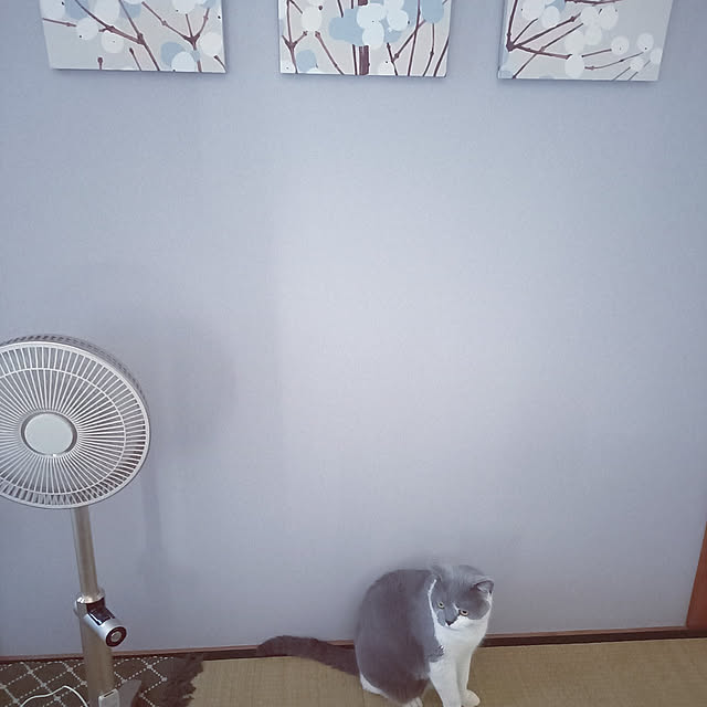 rhuさんの実例写真