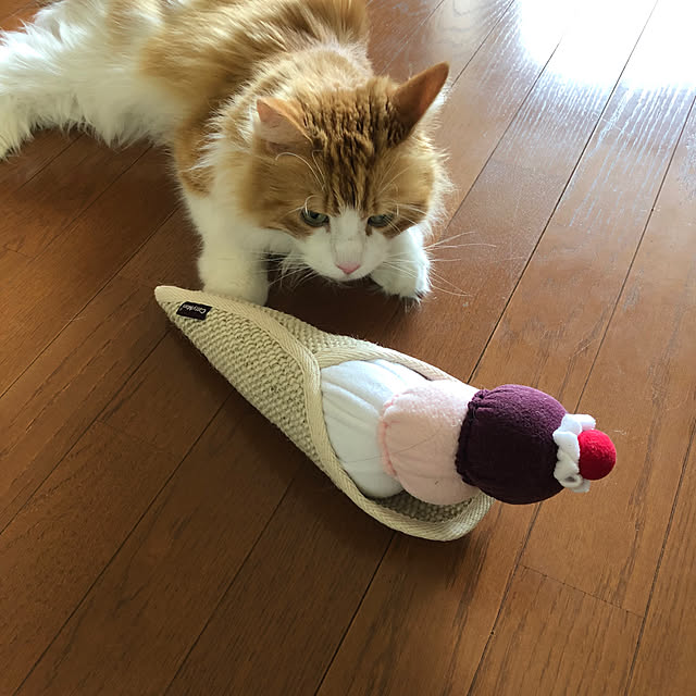 uchidaizuさんの実例写真