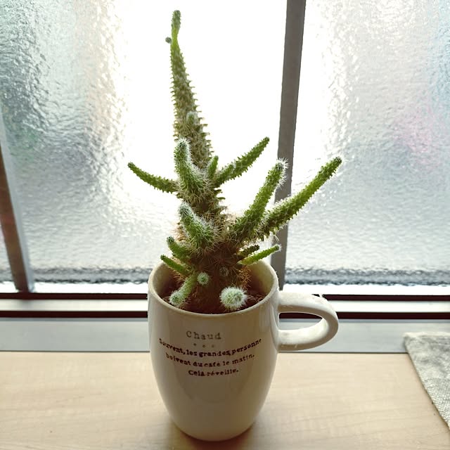 happytearsさんの実例写真