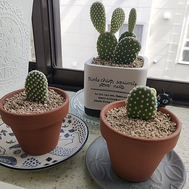 cocomintさんの実例写真