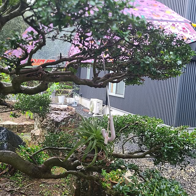 Rubiconさんの実例写真