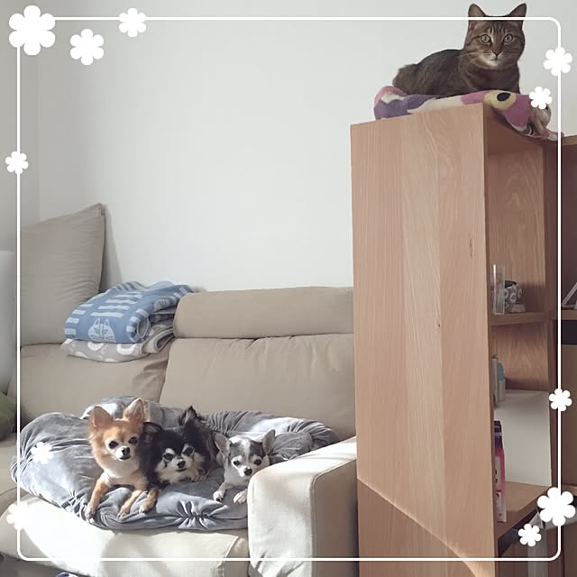 Emiさんの実例写真