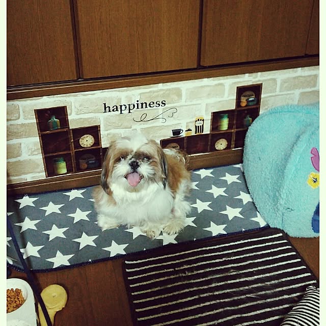 yuwanmama1025さんの実例写真