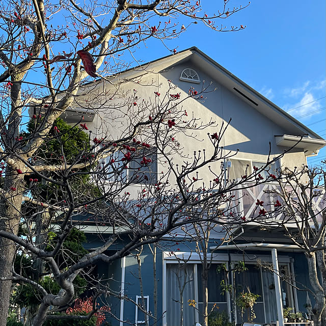 nobikoさんの部屋