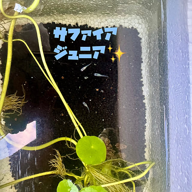 onsix777さんの部屋