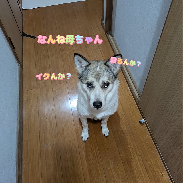 asaさんの実例写真