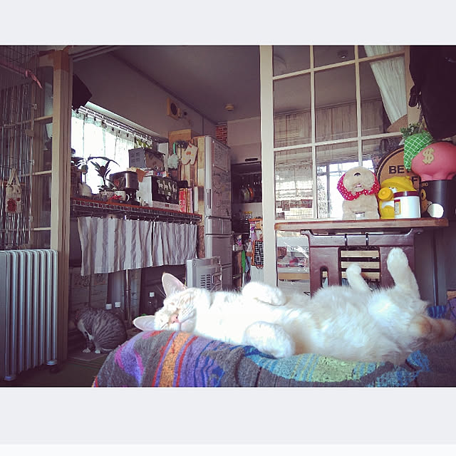 mntcさんの実例写真
